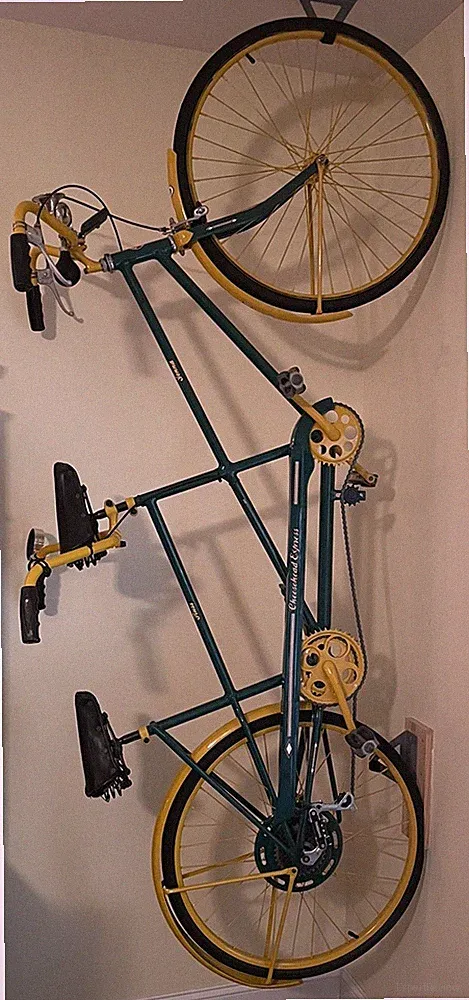Green Bay Packers tandem bicycle