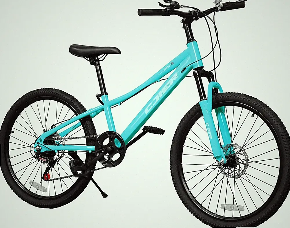 Mountain Bike 7-Speed Kids' Bikes 20/24 Inch Bike with High Carbon Steel Frame