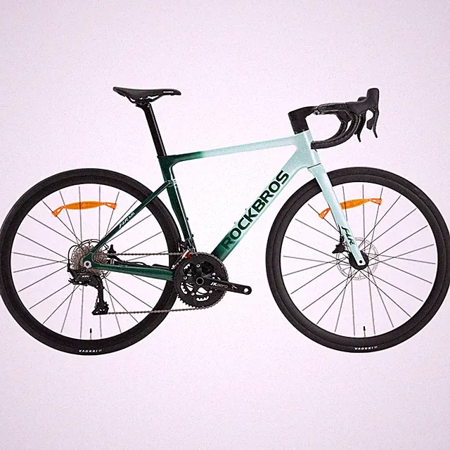ROCKBROS FLR-W3 700C Sport Road Bike Aluminum 2×10 Speed w/Hydraulic Disc Brakes