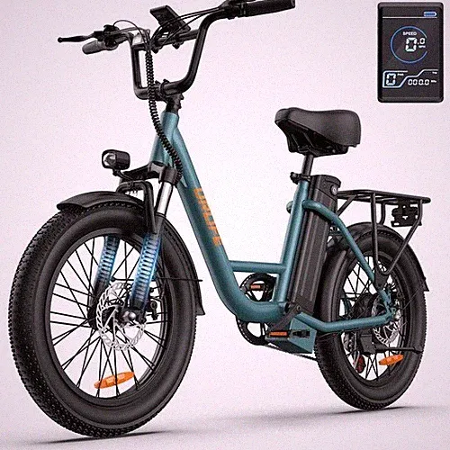 URLIFE Electric Bike 1000W 48V13AH 20" x 3.0 Fat Tire Commuting E-Bike US